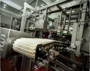 俄羅斯現(xiàn)代肉類加工廠整體轉(zhuǎn)讓與先進技術(shù)推廣